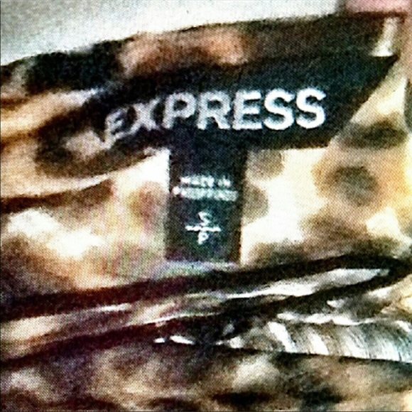 Express chiffon dress - Picture 2 of 2